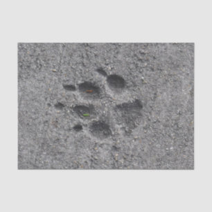 Pet Paws in Cement – Always There Tissue Paper