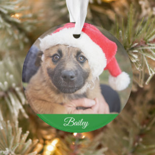 Pet Personalized Classic Pine Tree Christmas  Ornament