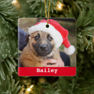 Pet Personalized Classic Red Green Pine Tree Ceramic Ornament