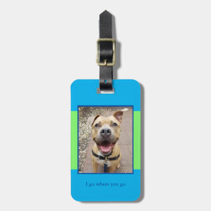 Pet Photo Blue and Green Luggage Tag