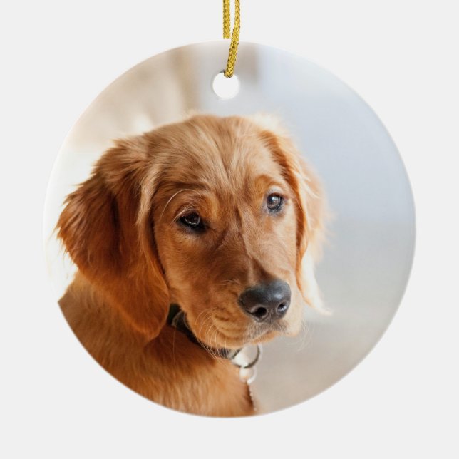 Pet Photo Ceramic Ornament (Front)