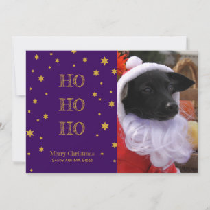 Pet Photo Christmas Card Personalized Your Photo
