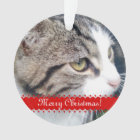 Pet photo Christmas ornament | Upload your images