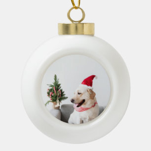 Pet Photo Christmas Tree Ball Ceramic Ball Christmas Ornament