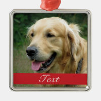 Pet Photo customizable