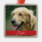 Pet Photo customizable
