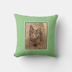 Pet Photo Customized Cat Pillow