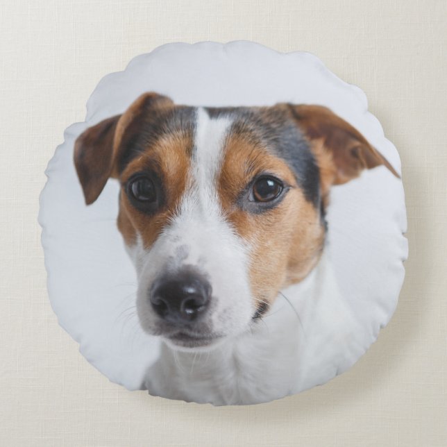 Pet photo dog add your own custom  personalized round pillow (Front)