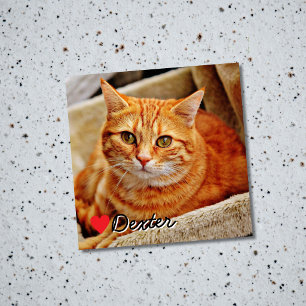 Pet Photo Dog Cat Personalized Keepsake Magnet