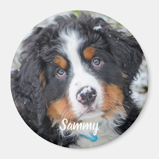 Pet Photo - Dog - Cat - Pet Memorial Magnet (Front)