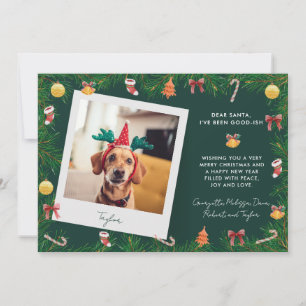 Pet Photo Dog Custom Funny Christmas Holiday Card