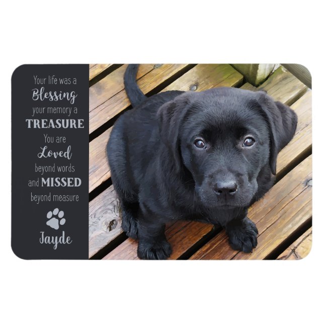 Pet Photo - Dog Photo - Cat Photo - Pet Memorial Magnet (Horizontal)