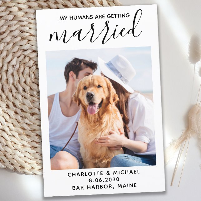 Pet Photo Dog Wedding My Humans Getting Married (Creator Uploaded)