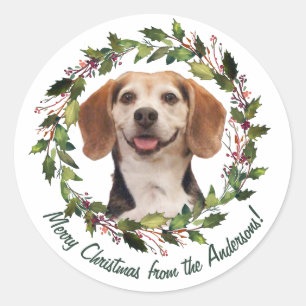 Pet Photo Family Name Merry Christmas Green Classic Round Sticker