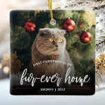 Pet Photo First Christmas Forever Home Silver Ceramic Ornament<br><div class="desc">Commemorate your pet's first Christmas in their new home with this beautiful modern keepsake ornament. The text reads "First Christmas in my fur-ever home, " with the words "fur-ever home" in elegant silver faux foil script. Replace the sample image with a photo of your cat or dog and add their...</div>