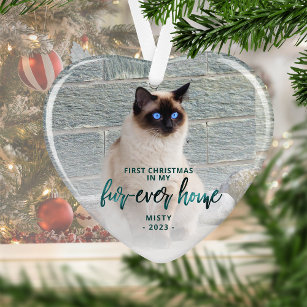 Pet Photo First Christmas Forever Home Teal Green Ornament