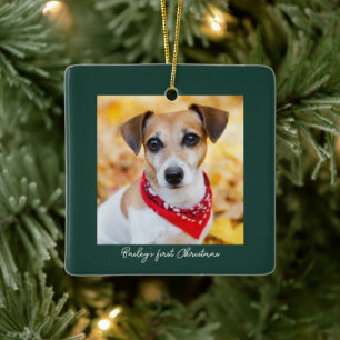 Pet Photo First Christmas Name Ceramic Ornament