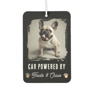Pet Photo Funny Selfie Treats and Chaos Air Freshener