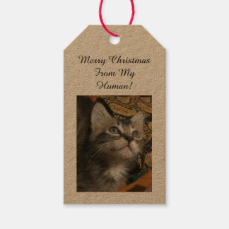 Pet Photo Gift Tags
