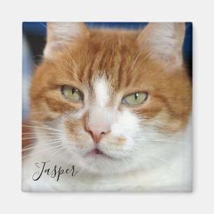 Pet Photo Handwritten Script  Magnet