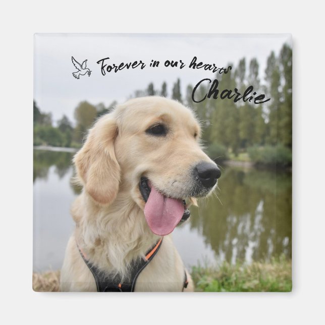 Pet Photo Keepsake Memorial Gift Magnet (Front)