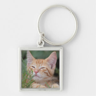 Pet Photo Key chain