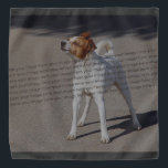 PET Photo ✨ Lovely Custom  Bandana<br><div class="desc">PET Photo Lovely– epic Picture PET Photo ✨ Lovely Custom Capture your most cherished moments with this stunning PET photo lovely ! 💖 Create a heartwarming keepsake with epic of your favourite photos, beautifully arranged in a stylish design. Whether you're celebrating a PET reunion, sharing vacation memories, or sending a...</div>