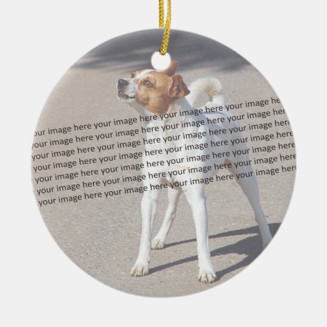  PET Photo ✨ Lovely Custom  Ceramic Ornament (Front)