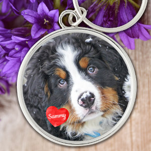 Pet Photo Memorial - Add Your Photo - Dog Photo Keychain