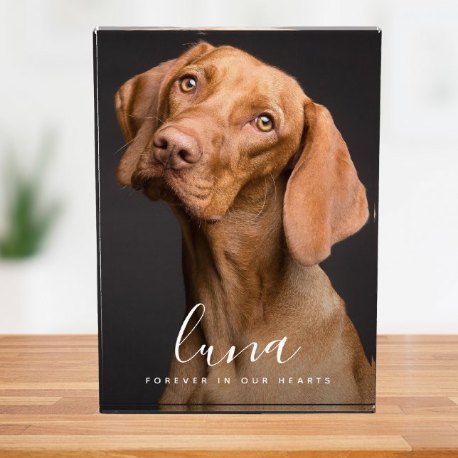 Pet Photo Memorial Sympathy Tribute Block (Pet Memorial Photo Block)