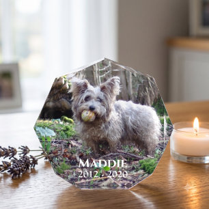 Pet Photo Memorial with Name and Date Block