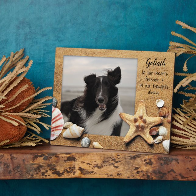 Pet Photo Memory Standing Beach Shells Plaque (Side)