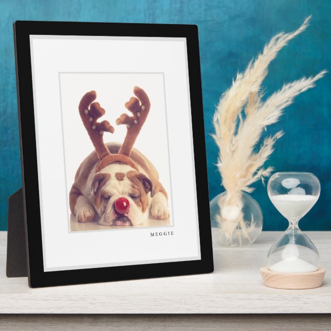 Pet Photo | Modern Minimal Black & White Frame Pet (Side)