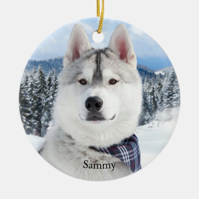 Pet Photo Name  Ceramic Ornament (Front)