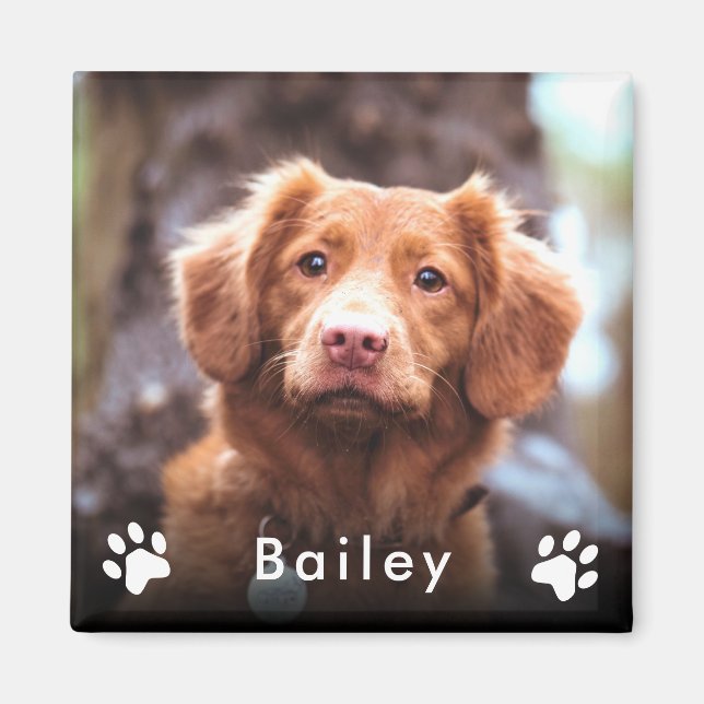 Pet Photo Name Magnet (Front)