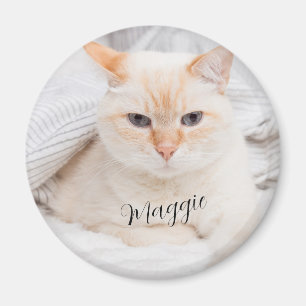 Pet Photo Name  Magnet