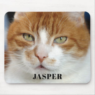 Pet Photo Name  Mouse Pad
