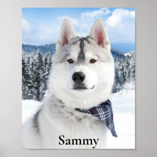 Pet Photo Name Print, Value Poster Paper (Matte)