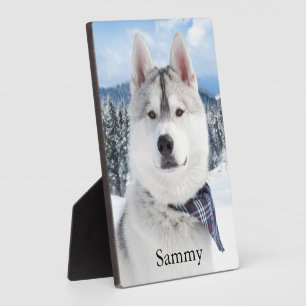 Pet Photo Name Tabletop Plaque with Easel