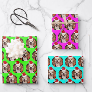 Pet Photo Neon Colours Santa Hats on Head Christma Wrapping Paper Sheet