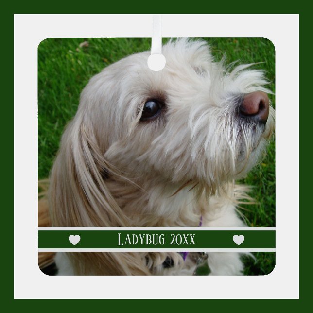 Pet Photo Ornament with Custom Name and Year (Creator Uploaded)