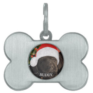 Pet Photo Personalized Dog Lover  Pet ID Tag