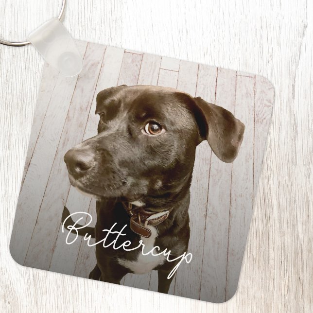 Pet Photo Personalized Keychain (Modern pet photo personalized dog or cat name keyring or keychain)