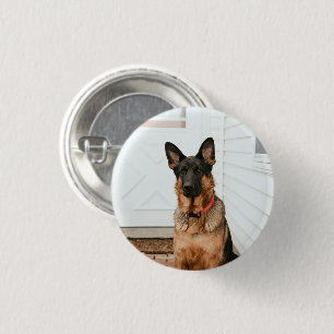 Pet Photo Picture Custom Upload Cute Adorable 1 Inch Round Button
