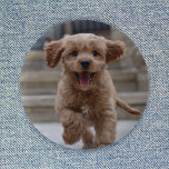 Pet Photo | Picture Upload Cute Adorable Dog 2 Inch Round Button<br><div class="desc">Custom photo design your own template to include your favourite photograph of your dog, cat, pets, baby, kids, family or friends! An easy to personalize template to make your own one of a kind design with your own image. The perfect gift for a loved one! The image shown is for...</div>