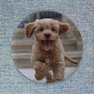 Pet Photo   Picture Upload Cute Adorable Dog 2 Inch Round Button