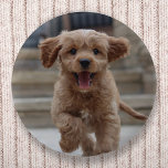 Pet Photo | Picture Upload Cute Adorable Dog 2 Inch Round Button<br><div class="desc">Custom photo design your own template to include your favourite photograph of your dog, cat, pets, baby, kids, family or friends! An easy to personalize template to make your own one of a kind design with your own image. The perfect gift for a loved one! The image shown is for...</div>
