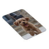 Pet Photo | Picture Upload Cute Adorable Dog Magnet (Right Side)