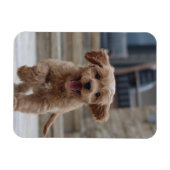 Pet Photo | Picture Upload Cute Adorable Dog Magnet (Horizontal)