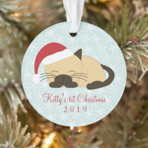 Pet Photo Pointé Chat Noël
